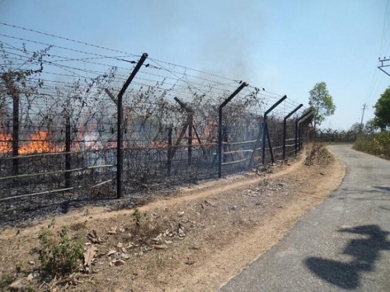 Flames along Indo-Bangla border ahead of ADC poll tensed locals: BSF unaware of the incident Flames along Indo-Bangla border ahead of ADC poll tensed locals: BSF unaware of the incident
